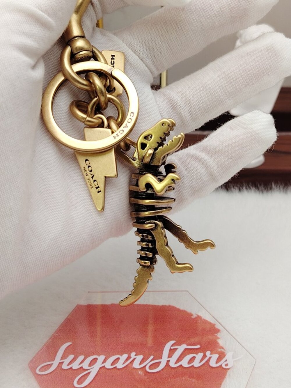 Coach Rexy Skeleton Bag Charm Keyhain Bag Accessories